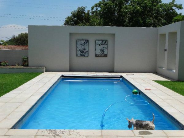 designer pool covers A dog is standing next to a swimming pool.