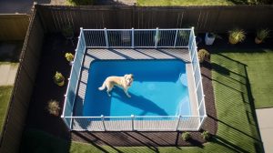 pet and pool covers