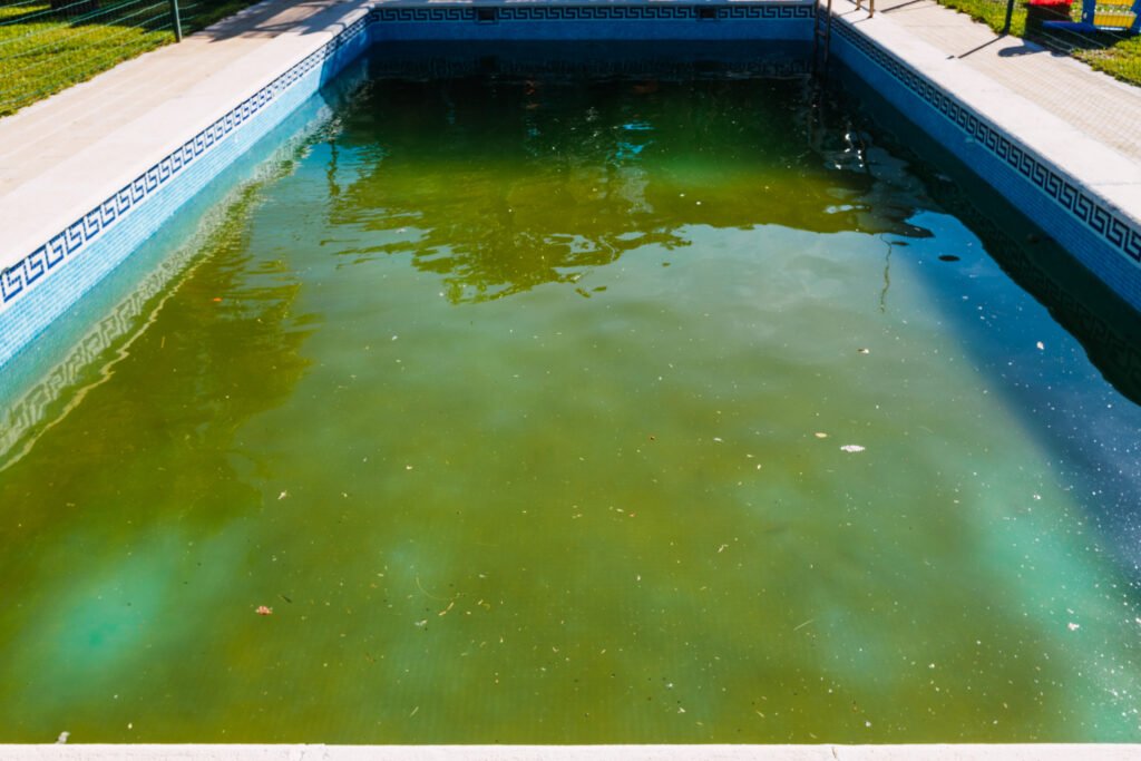 designer pool covers A backyard swimming pool that requires maintenance to deal with algae.