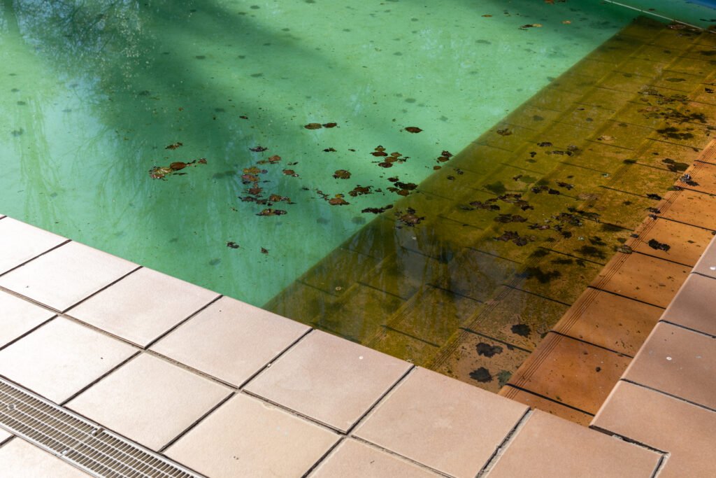 designer pool covers Dealing with leaves and algae in a pool.